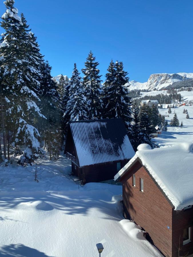 Zlatni Dar Apartman Žabljak Kültér fotó